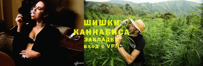 магазин продажи наркотиков  Ардатов  Конопля SATIVA & INDICA 